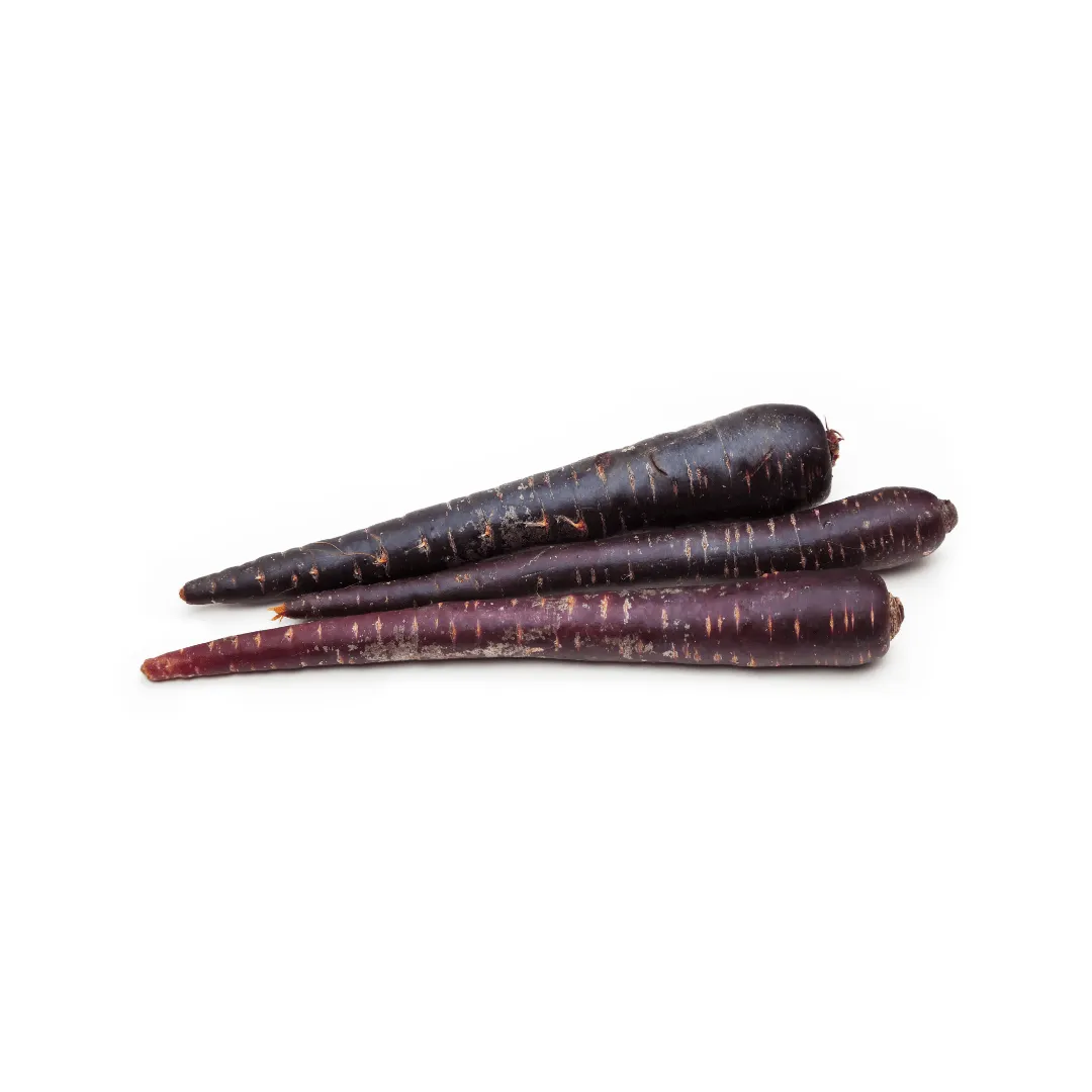 Carrot Deep Purple Coated Seeds | West Coast Seeds