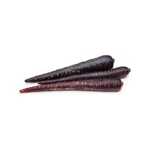 Carrot Deep Purple Coated Seeds | West Coast Seeds
