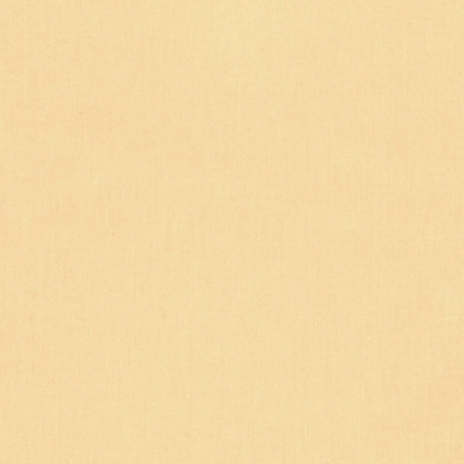 Kona Cotton - Mustard