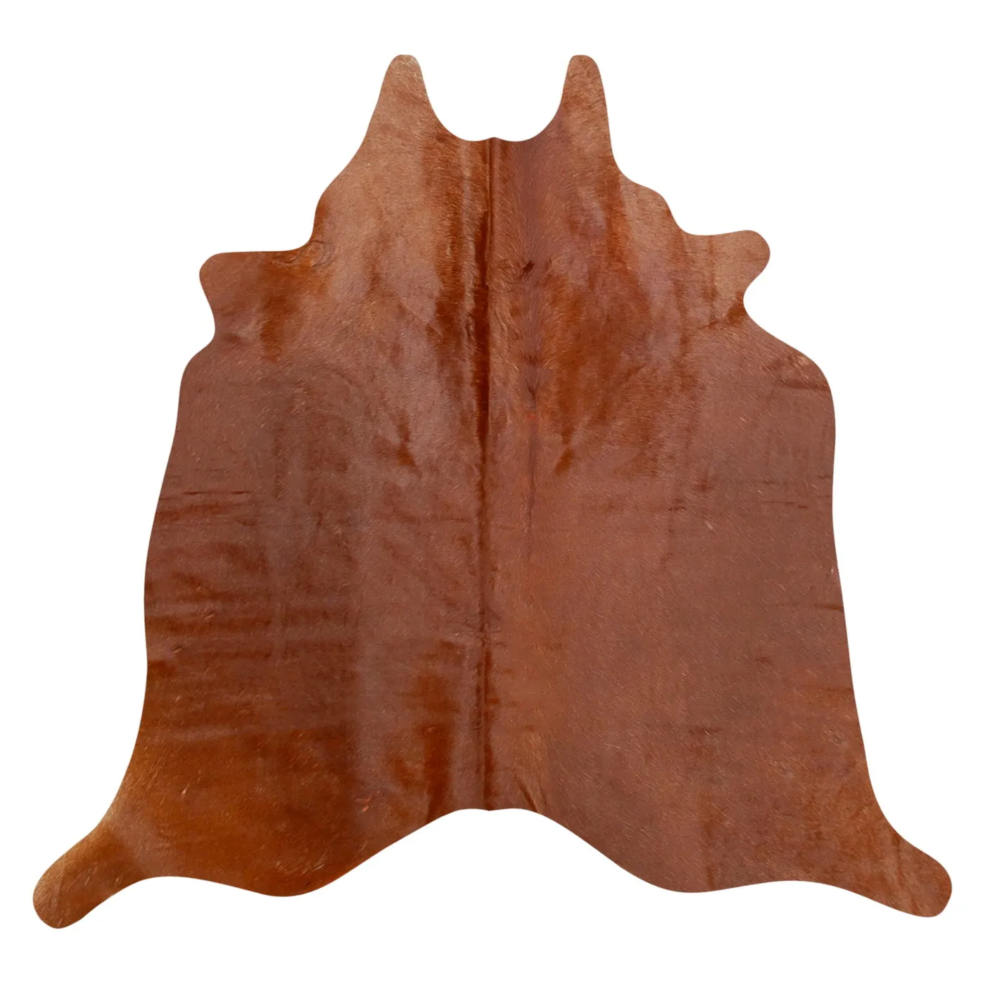 Natural Argentine Cowhide 4' 11" x 5' 9"